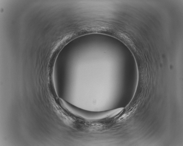 X0000059800395200510211057