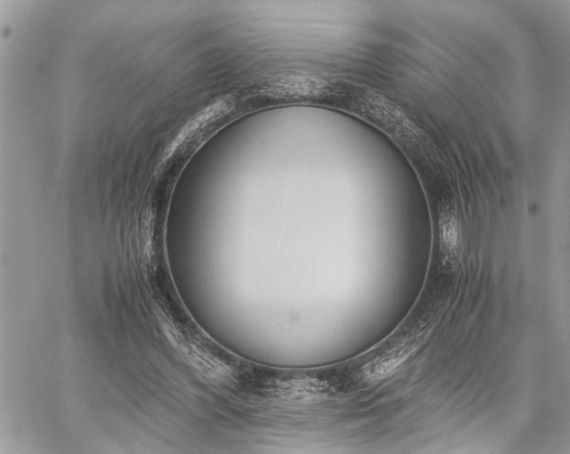 X0000059800396200510211057