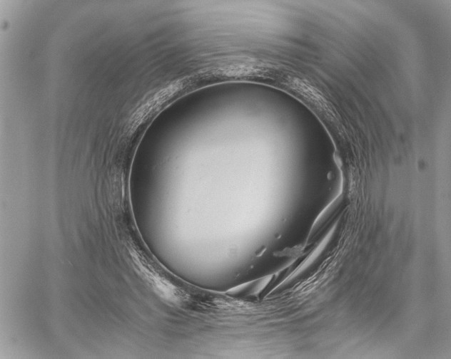 X0000059800397200510211057