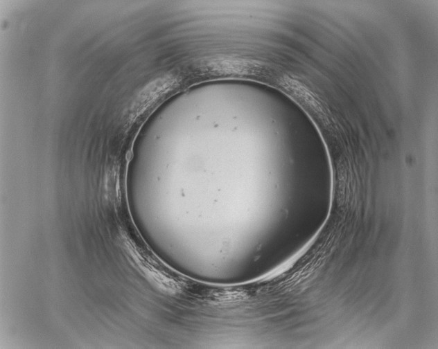 X0000059800398200510211057