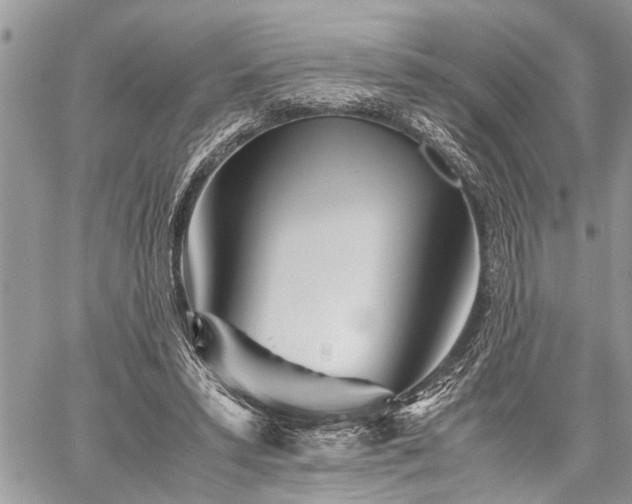 X0000059800399200510211057