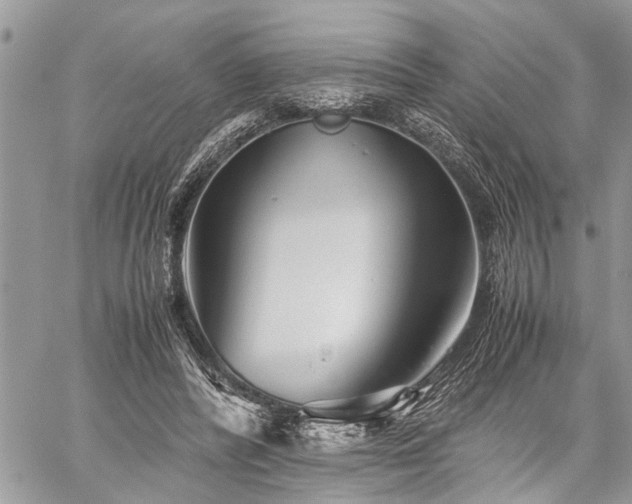 X0000059800400200510211057