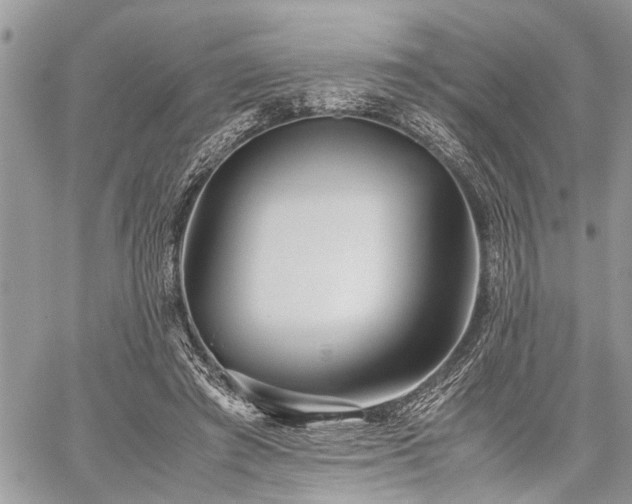 X0000059800401200510211057