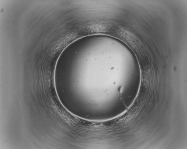 X0000059800402200510211057