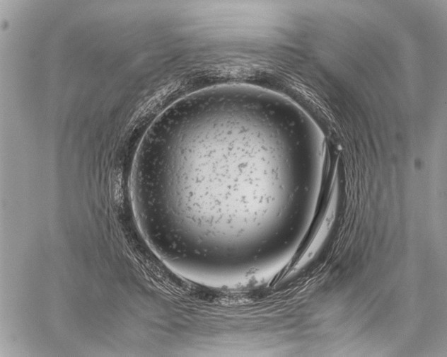 X0000059800403200510211057