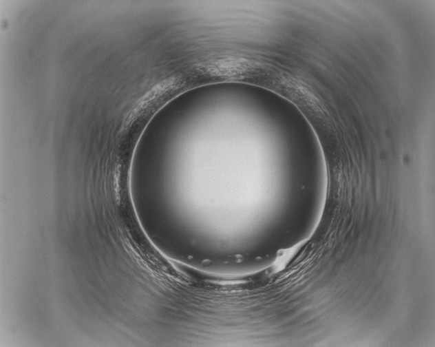 X0000059800404200510211057