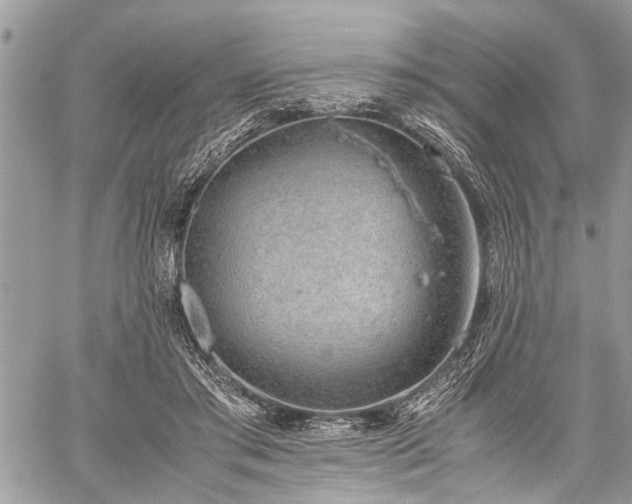 X0000059800405200510211057