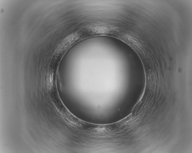 X0000059800406200510211057