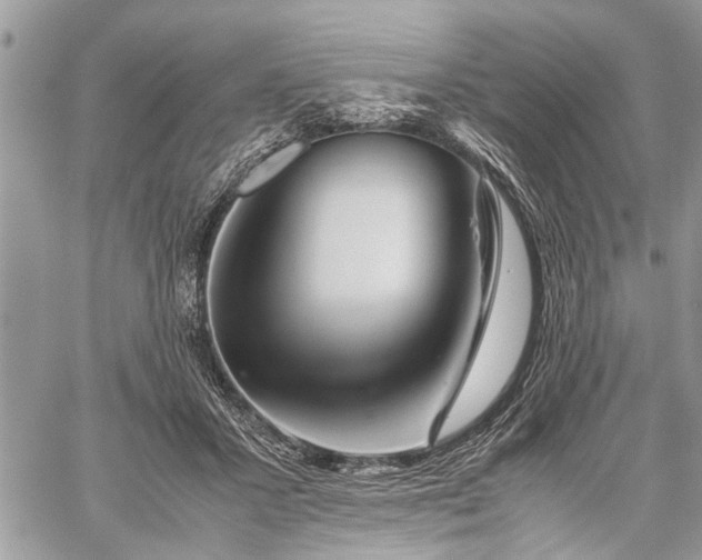 X0000059800407200510211057