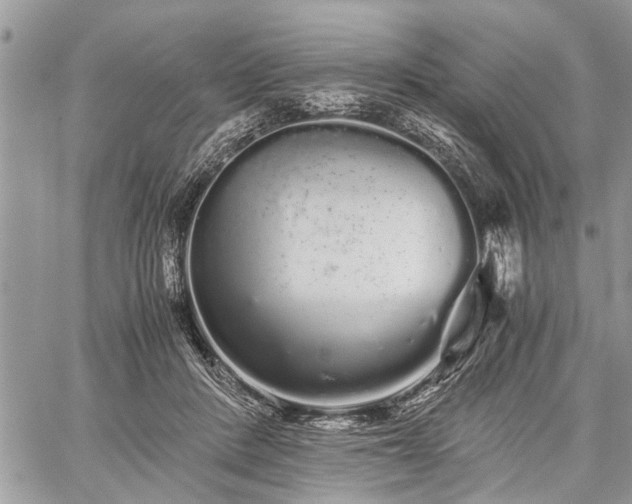 X0000059800408200510211057