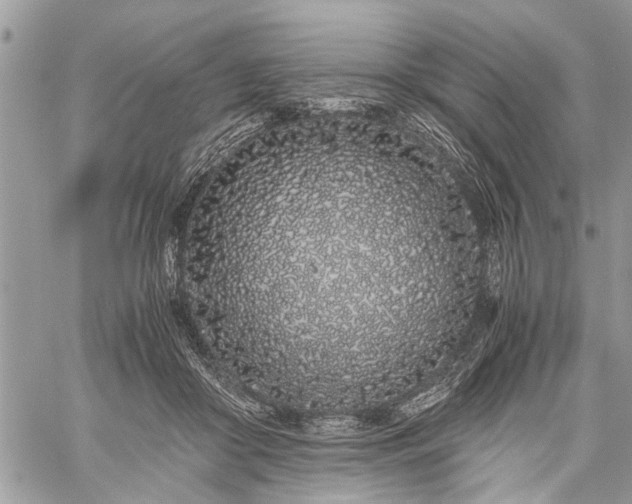 X0000059800410200510211057