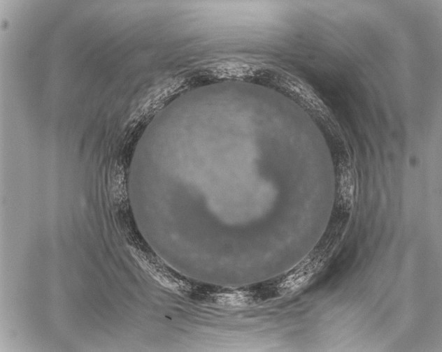 X0000059800411200510211057