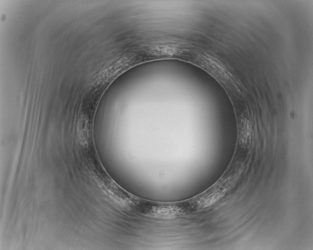 X0000059800414200510211056