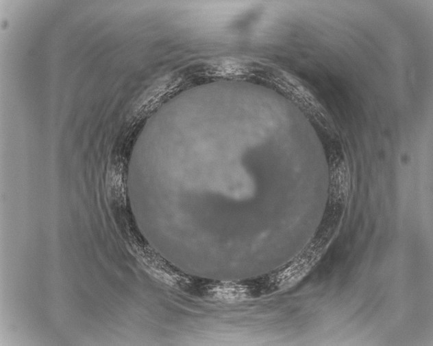 X0000059800415200510211056