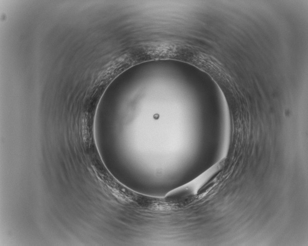 X0000059800416200510211056