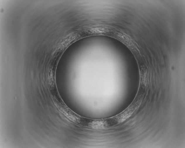 X0000059800418200510211056