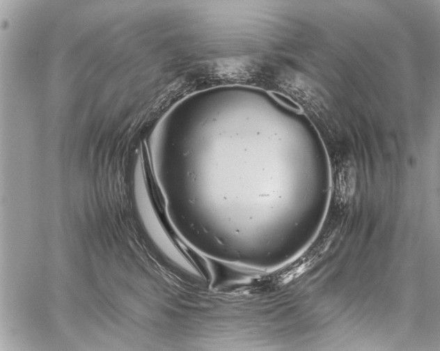 X0000059800424200510211056