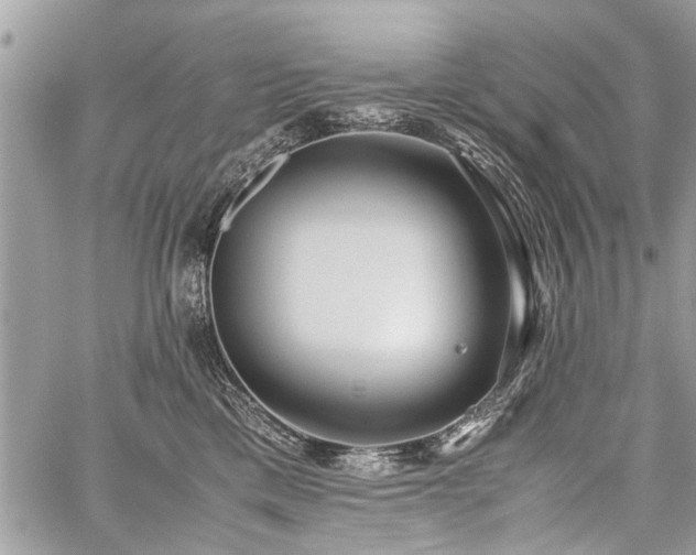 X0000059800425200510211056