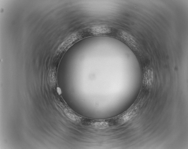 X0000059800426200510211056