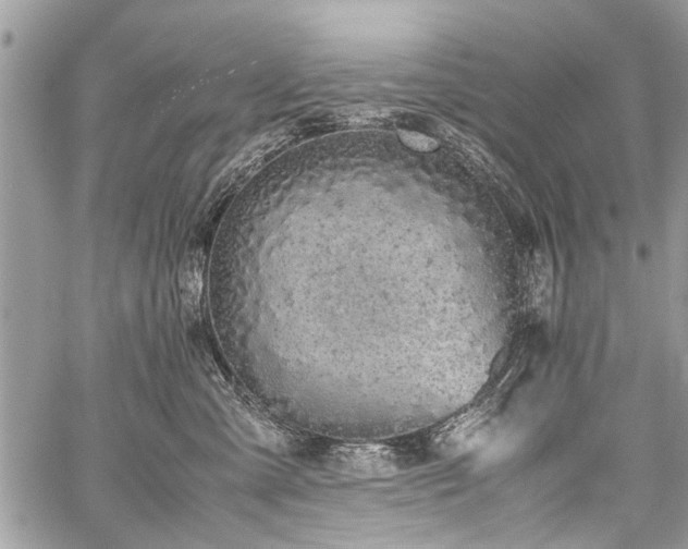 X0000059800427200510211056