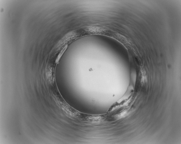 X0000059800428200510211056