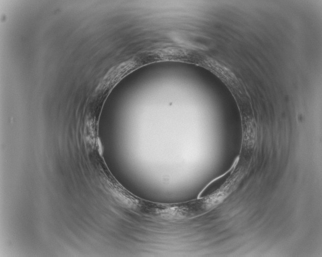 X0000059800430200510211056