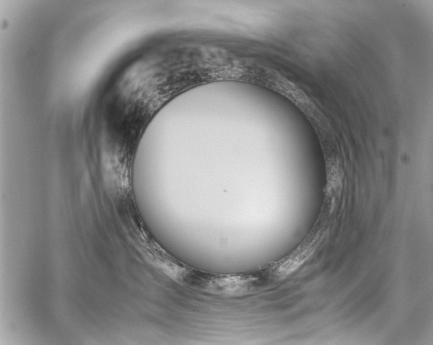 X0000059800431200510211056