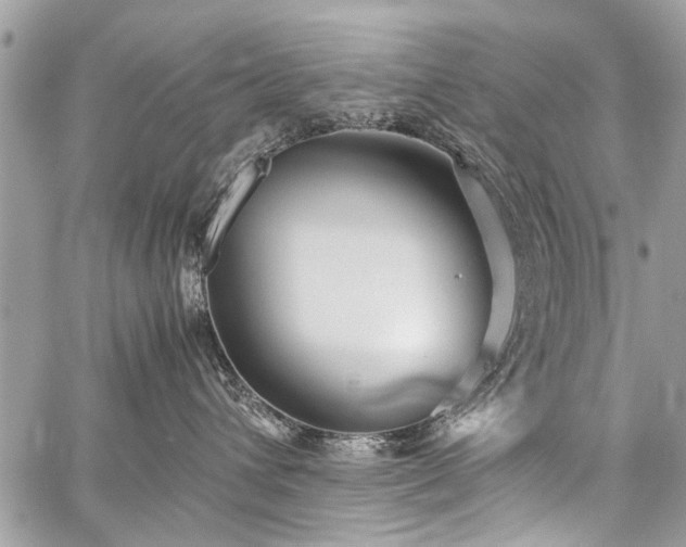 X0000059800432200510211056