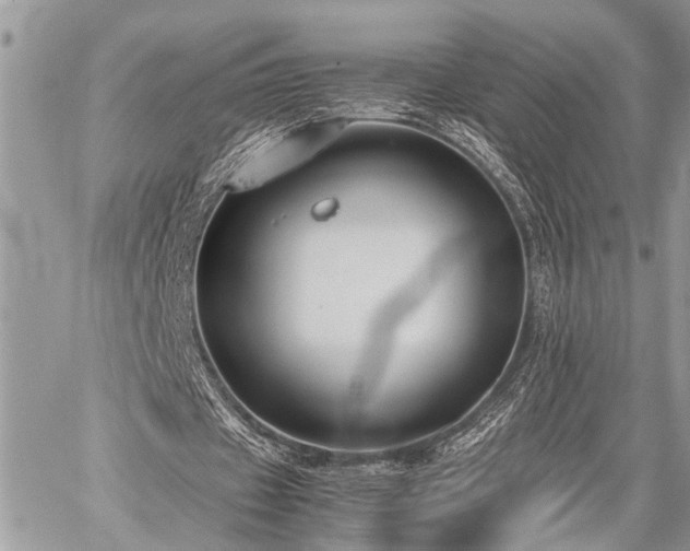 X0000059800433200510211055