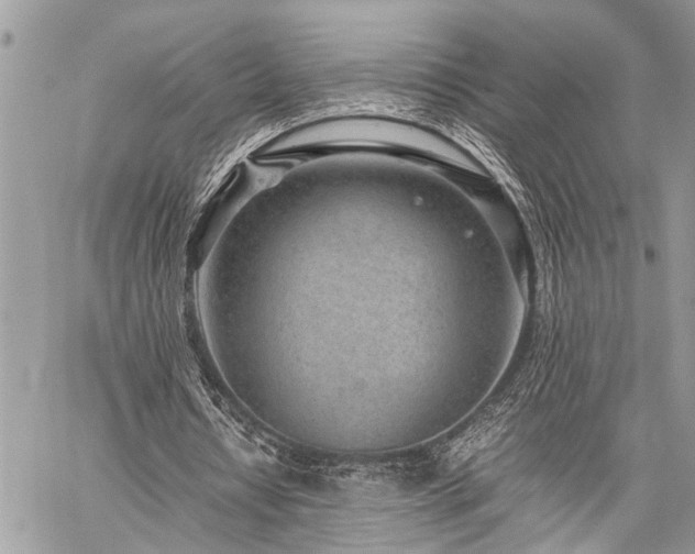 X0000059800434200510211055