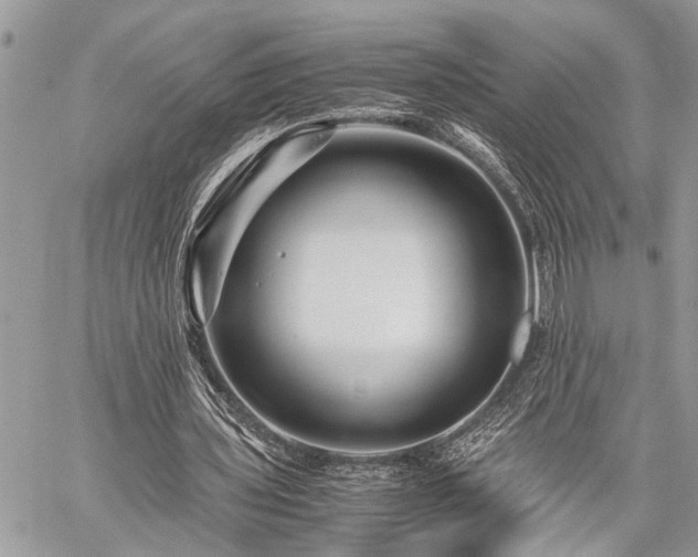 X0000059800435200510211055