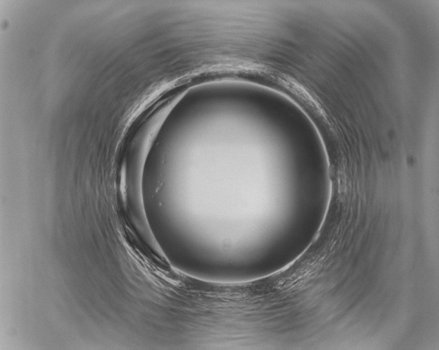 X0000059800436200510211055