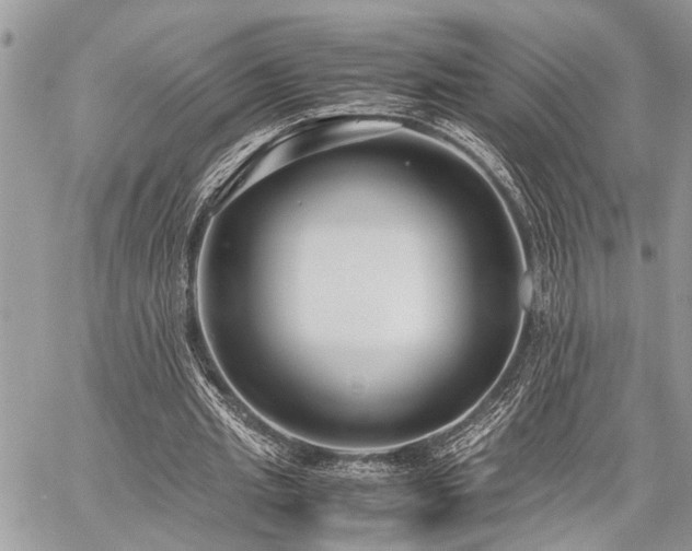 X0000059800437200510211055