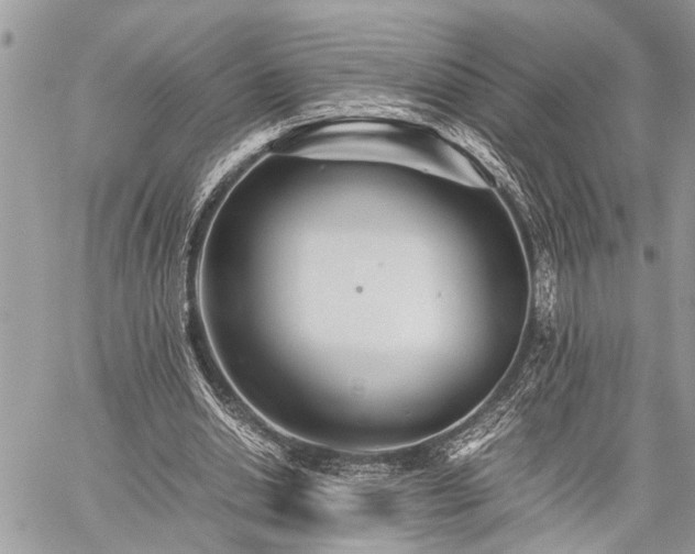 X0000059800438200510211055