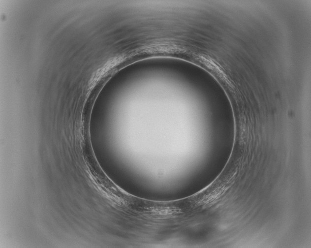 X0000059800439200510211055