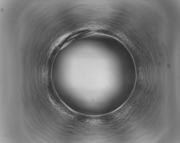 X0000059800440200510211055