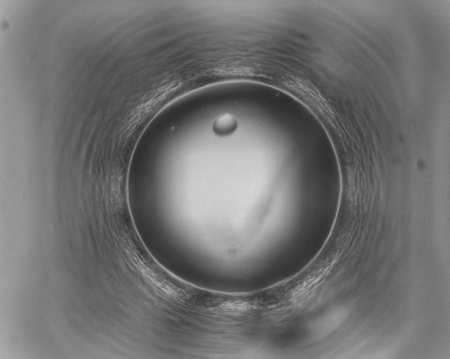 X0000059800441200510211056