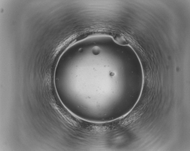 X0000059800442200510211056