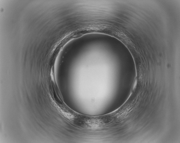 X0000059800444200510211056