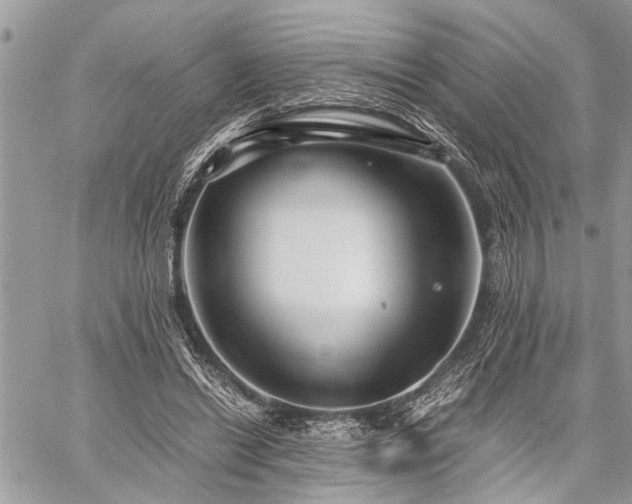 X0000059800446200510211056