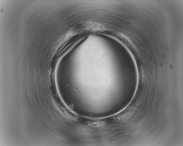 X0000059800447200510211056