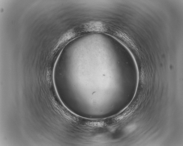 X0000059800449200510211056