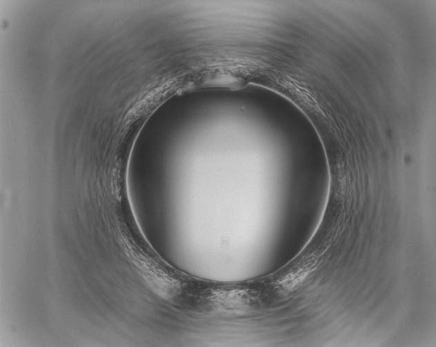 X0000059800450200510211056