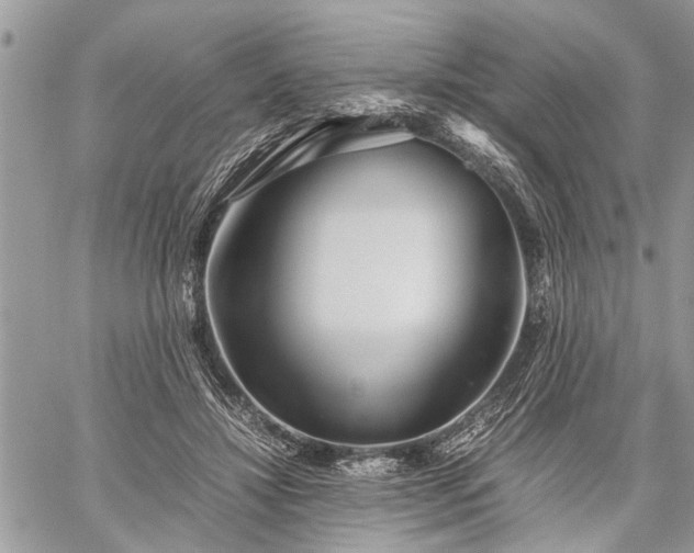 X0000059800452200510211056