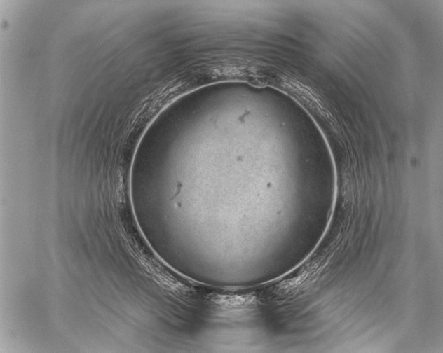 X0000059800453200510211056