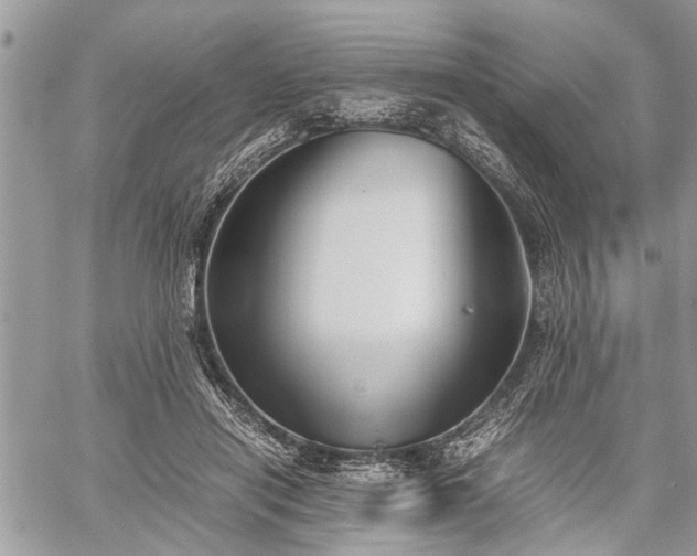 X0000059800454200510211056