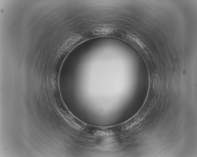 X0000059800455200510211056