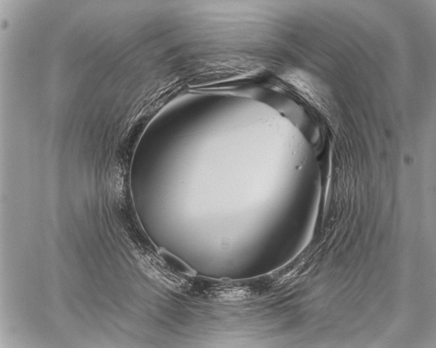 X0000059800456200510211056