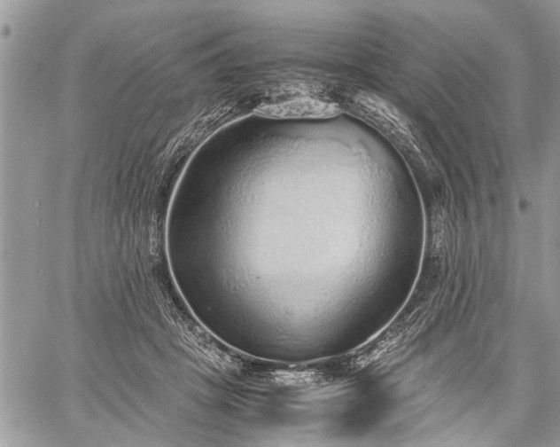 X0000059800457200510211056