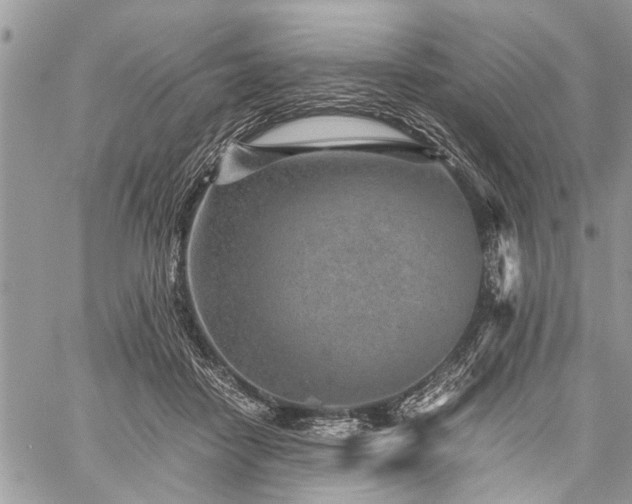 X0000059800458200510211056